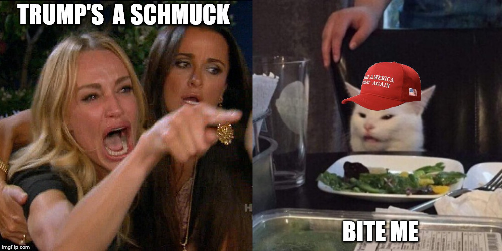 That cat's good... | TRUMP'S  A SCHMUCK; BITE ME | image tagged in woman yelling at cat,trump 2020,maga,reeeeeeeeeeeeeeeeeeeeee | made w/ Imgflip meme maker