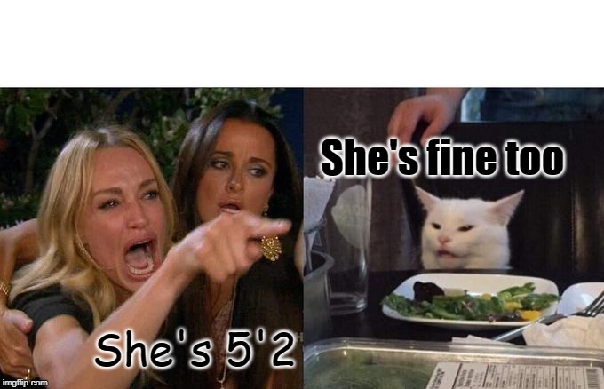 Woman Yelling At Cat Meme | She's fine too; She's 5'2 | image tagged in memes,woman yelling at a cat | made w/ Imgflip meme maker