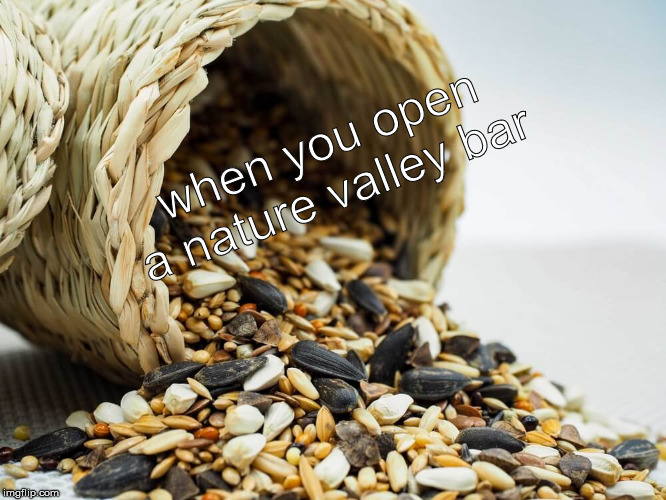 nature valley | when you open a nature valley bar | image tagged in memes | made w/ Imgflip meme maker