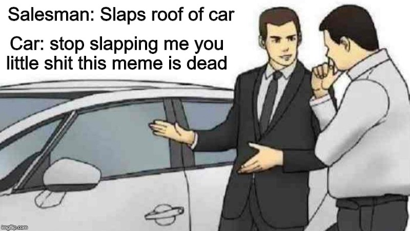 Car Salesman Slaps Roof Of Car | Salesman: Slaps roof of car; Car: stop slapping me you little shit this meme is dead | image tagged in memes,car salesman slaps roof of car | made w/ Imgflip meme maker