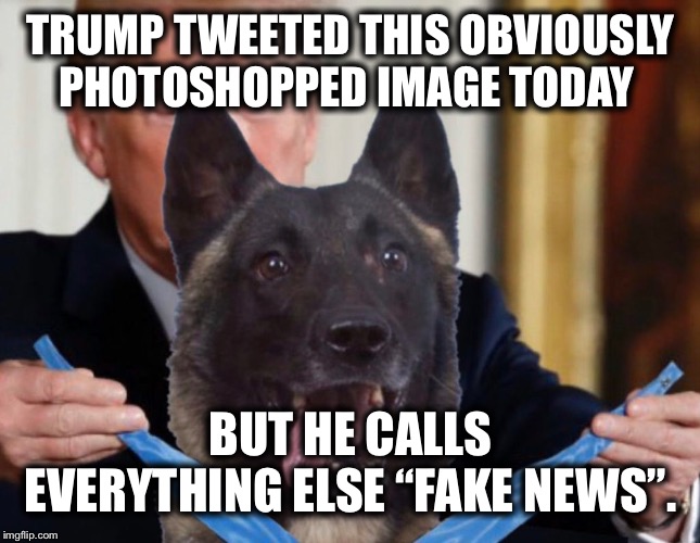 Real Fake News | TRUMP TWEETED THIS OBVIOUSLY PHOTOSHOPPED IMAGE TODAY; BUT HE CALLS EVERYTHING ELSE “FAKE NEWS”. | image tagged in donald trump,fake news,dogs,impeach trump,traitor,treason | made w/ Imgflip meme maker