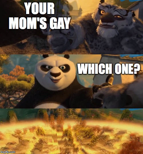 Kung Fu Panda counterpt |  YOUR MOM'S GAY; WHICH ONE? | image tagged in kung fu panda counterpt | made w/ Imgflip meme maker