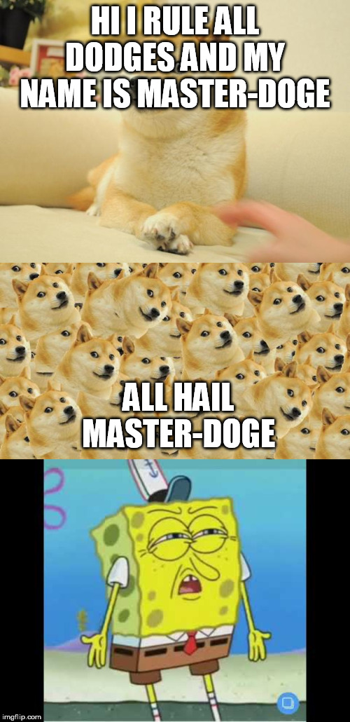  HI I RULE ALL DODGES AND MY NAME IS MASTER-DOGE; ALL HAIL MASTER-DOGE | image tagged in memes,doge 2,multi doge,discoused spongebob | made w/ Imgflip meme maker
