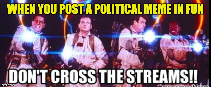 WHEN YOU POST A POLITICAL MEME IN FUN | image tagged in memes | made w/ Imgflip meme maker