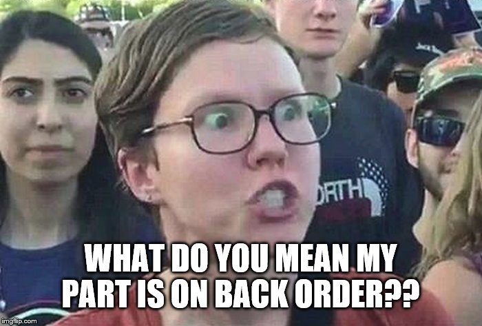 Triggered Liberal | WHAT DO YOU MEAN MY PART IS ON BACK ORDER?? | image tagged in triggered liberal | made w/ Imgflip meme maker