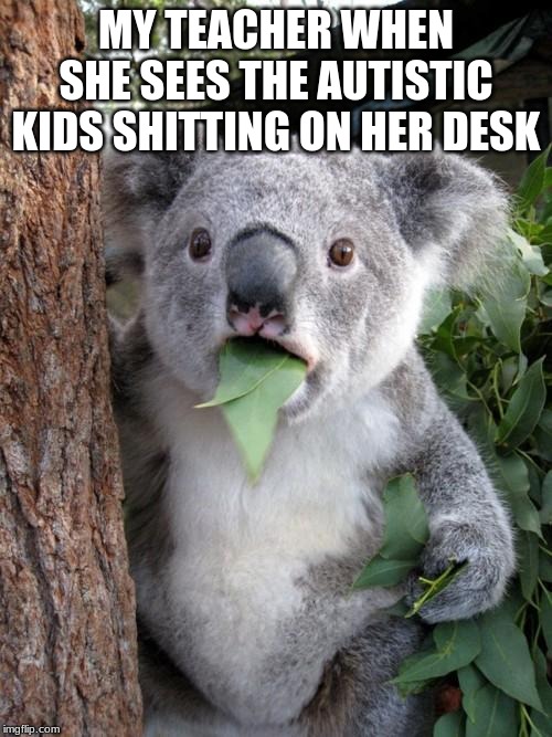 Surprised Koala Meme | MY TEACHER WHEN SHE SEES THE AUTISTIC KIDS SHITTING ON HER DESK | image tagged in memes,surprised koala | made w/ Imgflip meme maker
