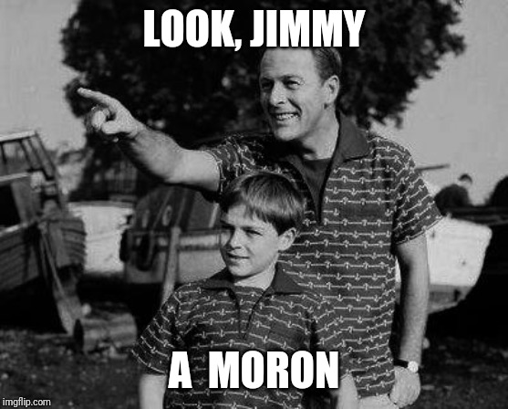 A father and son look on with exuberant whimsy at the dazzling splendor of a passing imbecile. | LOOK, JIMMY; A  MORON | image tagged in father and son,idiots,dumbass,stupid people | made w/ Imgflip meme maker