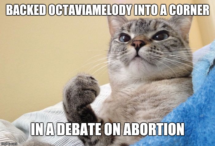 That's a success. If he ever gives you trouble, come to me. XD | BACKED OCTAVIAMELODY INTO A CORNER; IN A DEBATE ON ABORTION | image tagged in success cat,memes,politics,success,octavia_melody | made w/ Imgflip meme maker