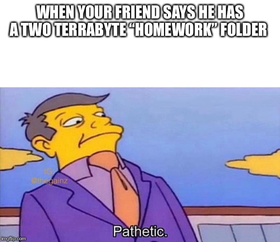 Pathetic | WHEN YOUR FRIEND SAYS HE HAS A TWO TERRABYTE “HOMEWORK” FOLDER | image tagged in pathetic | made w/ Imgflip meme maker