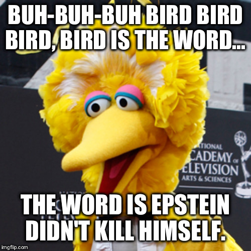 Big Bird puts out the big word | BUH-BUH-BUH BIRD BIRD BIRD, BIRD IS THE WORD... THE WORD IS EPSTEIN DIDN'T KILL HIMSELF. | image tagged in memes,big bird,epstein,clinton,hilary | made w/ Imgflip meme maker