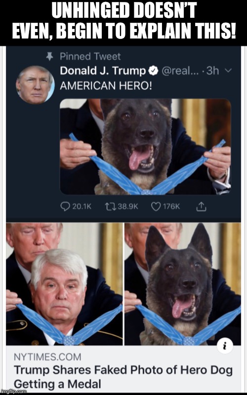 UNHINGED DOESN’T EVEN, BEGIN TO EXPLAIN THIS! | image tagged in trump with dog,hero military dog,hero dog syria,trump gives dog award,trump dog metal,impeach trump | made w/ Imgflip meme maker