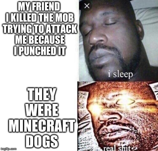 i sleep real shit | MY FRIEND 

I KILLED THE MOB TRYING TO ATTACK ME BECAUSE I PUNCHED IT; THEY WERE MINECRAFT DOGS | image tagged in i sleep real shit | made w/ Imgflip meme maker