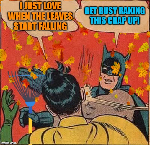 I hate fall & winter | I JUST LOVE WHEN THE LEAVES START FALLING; GET BUSY RAKING THIS CRAP UP! | image tagged in memes,batman slapping robin,fall,autumn leaves,work | made w/ Imgflip meme maker