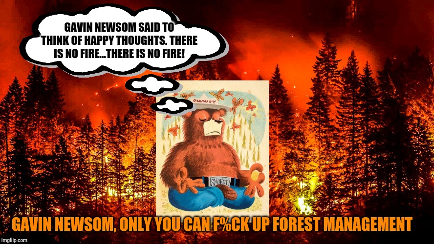 Gavin Newsom, Smokey says thank a lot! | GAVIN NEWSOM SAID TO THINK OF HAPPY THOUGHTS. THERE IS NO FIRE...THERE IS NO FIRE! GAVIN NEWSOM, ONLY YOU CAN F%CK UP FOREST MANAGEMENT | image tagged in california fires,gavin newsom,smokey the bear,liberal logic,liberal hypocrisy,government corruption | made w/ Imgflip meme maker