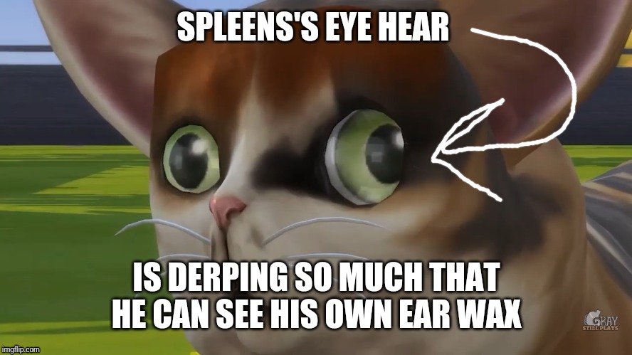 Spleens the cat | SPLEENS'S EYE HEAR; IS DERPING SO MUCH THAT HE CAN SEE HIS OWN EAR WAX | image tagged in spleens the cat | made w/ Imgflip meme maker