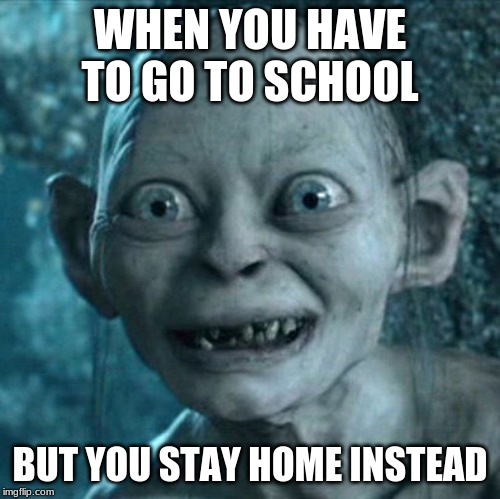Gollum | WHEN YOU HAVE TO GO TO SCHOOL; BUT YOU STAY HOME INSTEAD | image tagged in memes,gollum | made w/ Imgflip meme maker