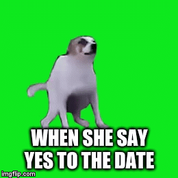 dancing boi | WHEN SHE SAY YES TO THE DATE | image tagged in gifs | made w/ Imgflip video-to-gif maker