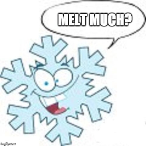 Snowflake | MELT MUCH? | image tagged in snowflake | made w/ Imgflip meme maker