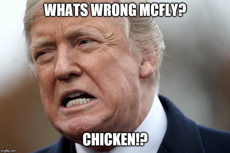 Trump is Biff From BTTF | WHATS WRONG MCFLY? CHICKEN!? | image tagged in back to the future,funny | made w/ Imgflip meme maker