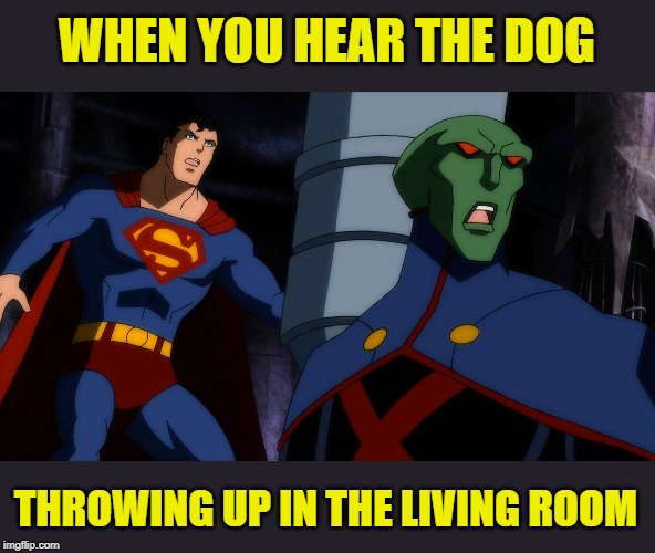 Not on the new carpet!!! | WHEN YOU HEAR THE DOG; THROWING UP IN THE LIVING ROOM | image tagged in funny memes,dogs,pets,superman,memes | made w/ Imgflip meme maker