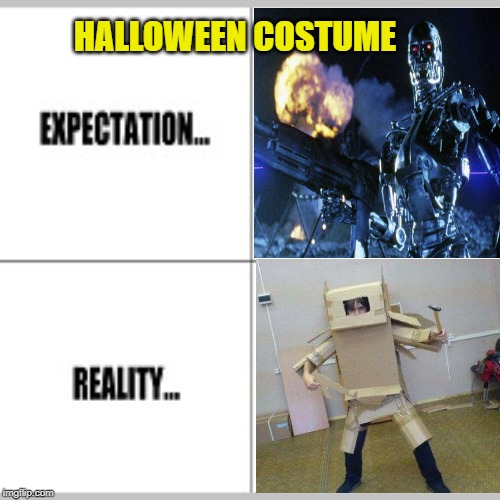 Halloween Costume | HALLOWEEN COSTUME | image tagged in expectation vs reality,halloween,halloween costume,memes,terminator 2 | made w/ Imgflip meme maker