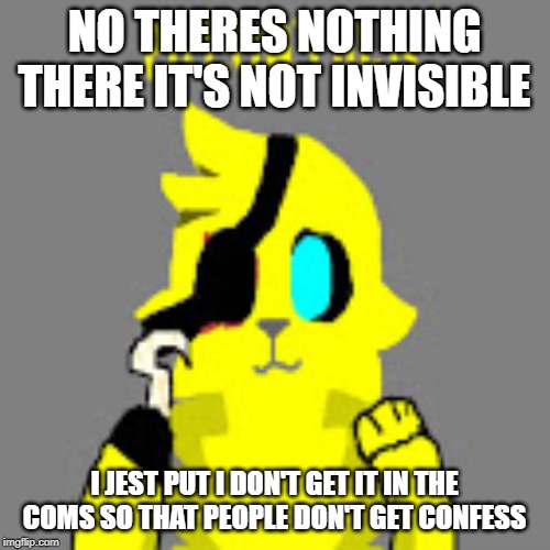 NO THERES NOTHING THERE IT'S NOT INVISIBLE I JEST PUT I DON'T GET IT IN THE COMS SO THAT PEOPLE DON'T GET CONFESS | made w/ Imgflip meme maker