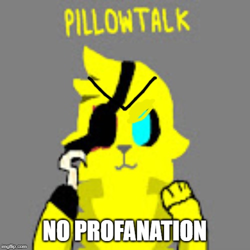 NO PROFANATION | made w/ Imgflip meme maker