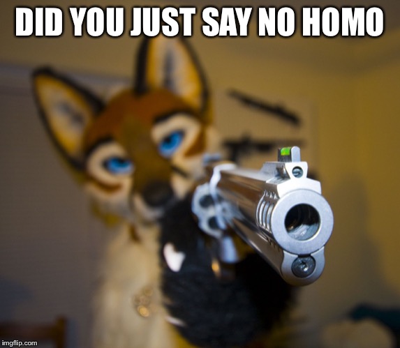 Furry with gun | DID YOU JUST SAY NO HOMO | image tagged in furry with gun | made w/ Imgflip meme maker