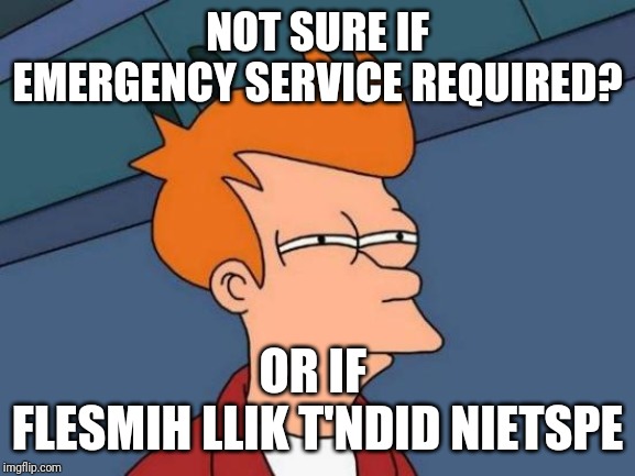 Futurama Fry Meme | NOT SURE IF EMERGENCY SERVICE REQUIRED? OR IF 
FLESMIH LLIK T'NDID NIETSPE | image tagged in memes,futurama fry | made w/ Imgflip meme maker
