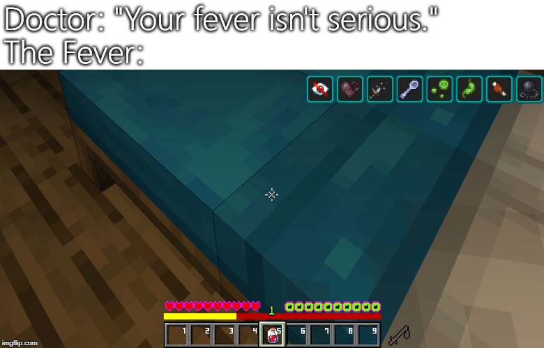 Doctor: "Your fever isn't serious."
The Fever: | image tagged in minecraft | made w/ Imgflip meme maker