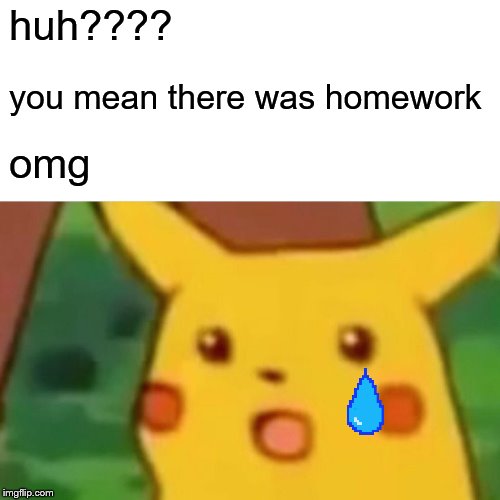Surprised Pikachu Meme | huh???? you mean there was homework; omg | image tagged in memes,surprised pikachu | made w/ Imgflip meme maker