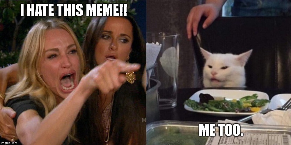 Woman yelling at cat | I HATE THIS MEME!! ME TOO. | image tagged in woman yelling at cat | made w/ Imgflip meme maker