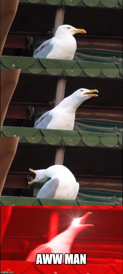Inhaling Seagull Meme | AWW MAN | image tagged in memes,inhaling seagull | made w/ Imgflip meme maker