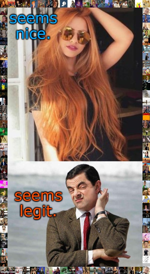 genetics is a fine hobby, but you can overthink anything.legsetc imgflip stream | seems nice. seems legit. | image tagged in long hair,attractive,mr bean,the internet,meme color | made w/ Imgflip meme maker