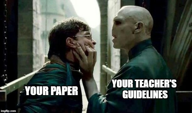 Voldemort and Harry | YOUR TEACHER'S 
GUIDELINES; YOUR PAPER | image tagged in voldemort and harry | made w/ Imgflip meme maker