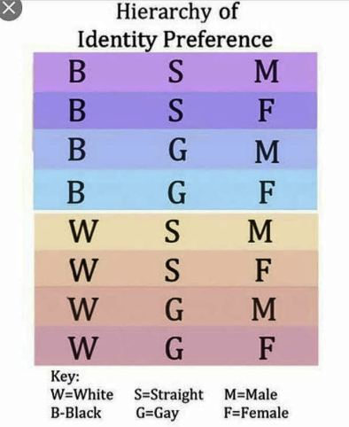 BLACK PRIVILEGE MEME- RACIAL HIERARCHY Blank Meme Template