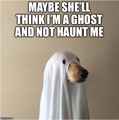 Ghost Doge | MAYBE SHE’LL THINK I’M A GHOST AND NOT HAUNT ME | image tagged in ghost doge | made w/ Imgflip meme maker