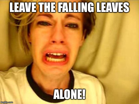 Leave Britney Alone | LEAVE THE FALLING LEAVES ALONE! | image tagged in leave britney alone | made w/ Imgflip meme maker