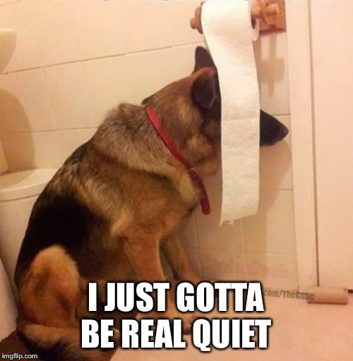 Ninja dog hides behind toilet paper | I JUST GOTTA BE REAL QUIET | image tagged in ninja dog hides behind toilet paper | made w/ Imgflip meme maker