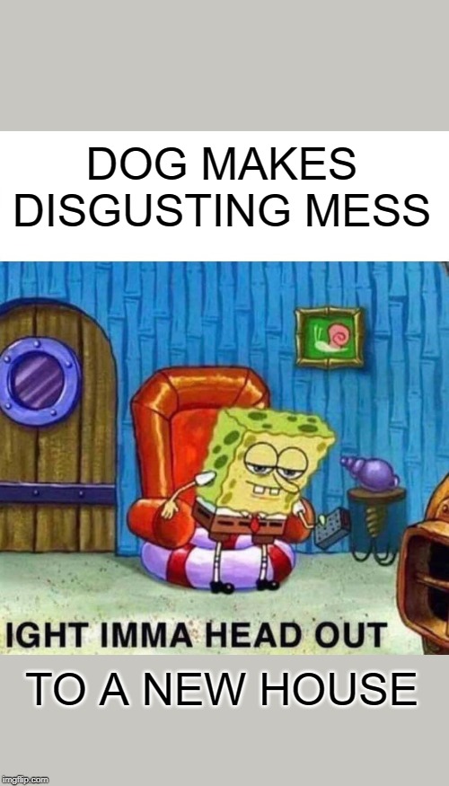 Spongebob Ight Imma Head Out Meme | DOG MAKES DISGUSTING MESS TO A NEW HOUSE | image tagged in memes,spongebob ight imma head out | made w/ Imgflip meme maker