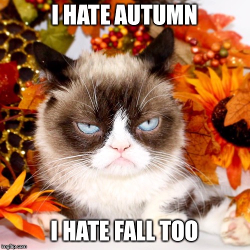 Grumpy Cat Autumn | I HATE AUTUMN I HATE FALL TOO | image tagged in grumpy cat autumn | made w/ Imgflip meme maker