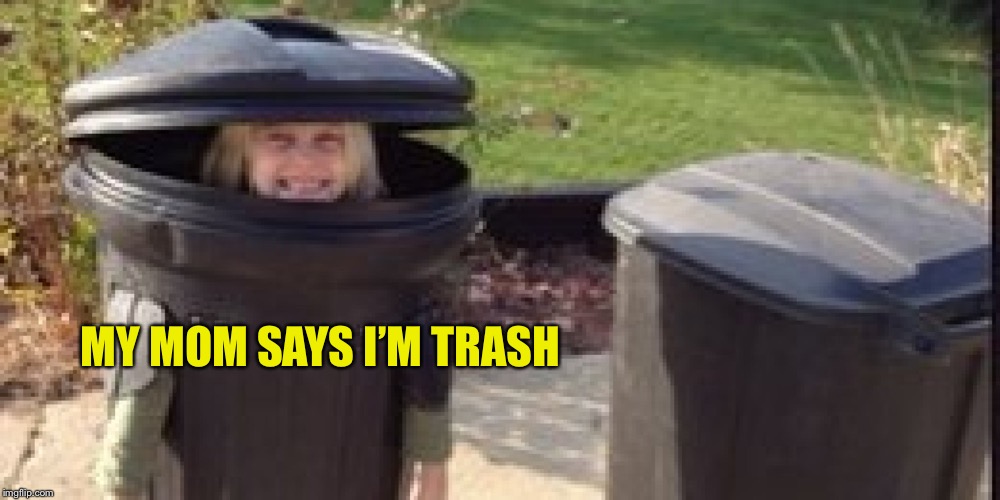 trash can costume | MY MOM SAYS I’M TRASH | image tagged in trash can costume | made w/ Imgflip meme maker