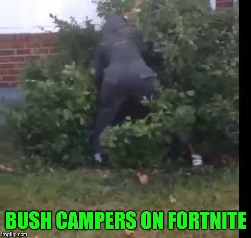 fortnit bush | BUSH CAMPERS ON FORTNITE | image tagged in fortnit bush | made w/ Imgflip meme maker