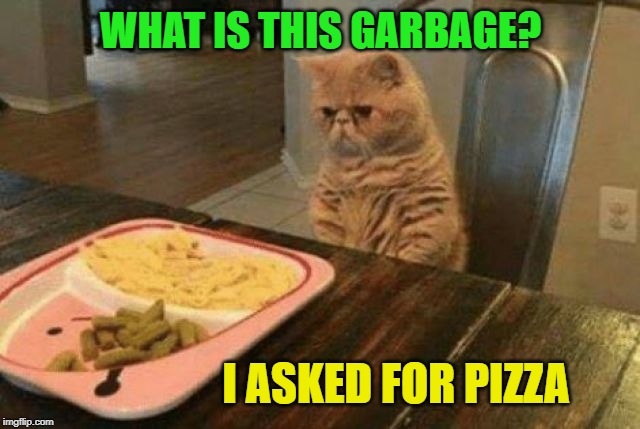 Dinner Time | WHAT IS THIS GARBAGE? I ASKED FOR PIZZA | image tagged in funny memes,cat,pizza,food,cat memes | made w/ Imgflip meme maker