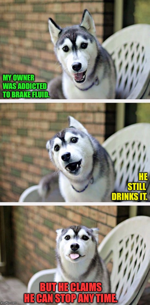Bad Pun Dog | MY OWNER WAS ADDICTED TO BRAKE FLUID. HE STILL 
DRINKS IT. BUT HE CLAIMS HE CAN STOP ANY TIME. | image tagged in bad pun dog 2 | made w/ Imgflip meme maker