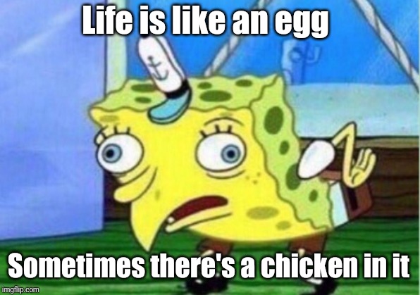 Mocking Spongebob | Life is like an egg; Sometimes there's a chicken in it | image tagged in memes,mocking spongebob | made w/ Imgflip meme maker