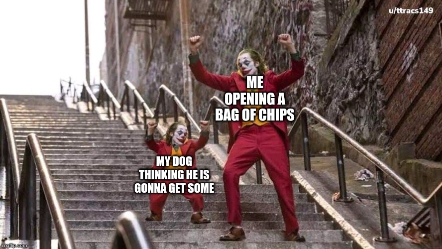 Joker and mini joker | ME OPENING A BAG OF CHIPS MY DOG THINKING HE IS GONNA GET SOME | image tagged in joker and mini joker | made w/ Imgflip meme maker