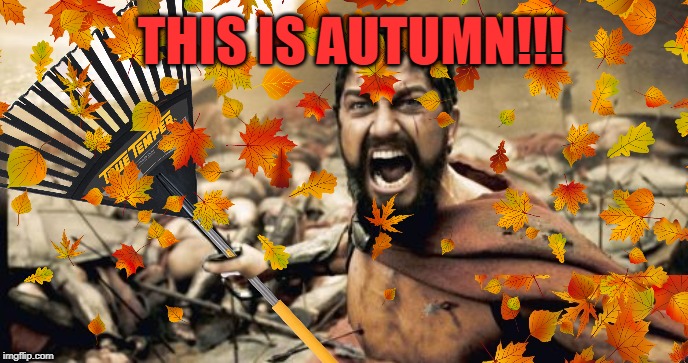 Yard work | THIS IS AUTUMN!!! | image tagged in memes,fall,autumn leaves,leaves,autumn,this is sparta | made w/ Imgflip meme maker