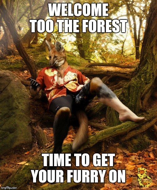 WELCOME TOO THE FOREST TIME TO GET YOUR FURRY ON | made w/ Imgflip meme maker