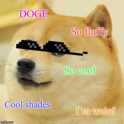 Doge | DOGE; So fluffy; So cool; Cool shades; I’m weird | image tagged in memes,doge | made w/ Imgflip meme maker